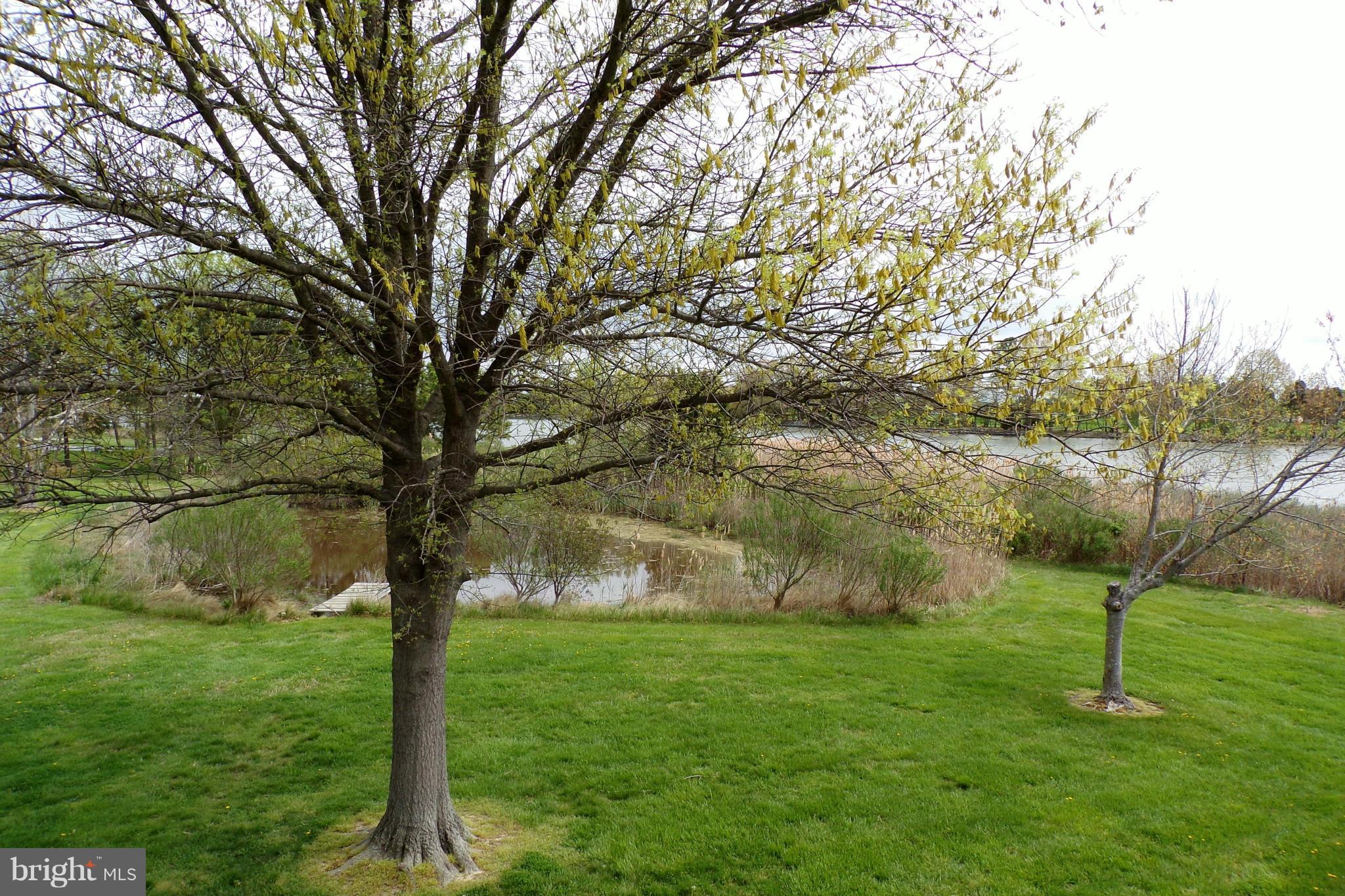25154 St Michaels Road St. Michaels, MD 21663 - Photo 11 of 30 View