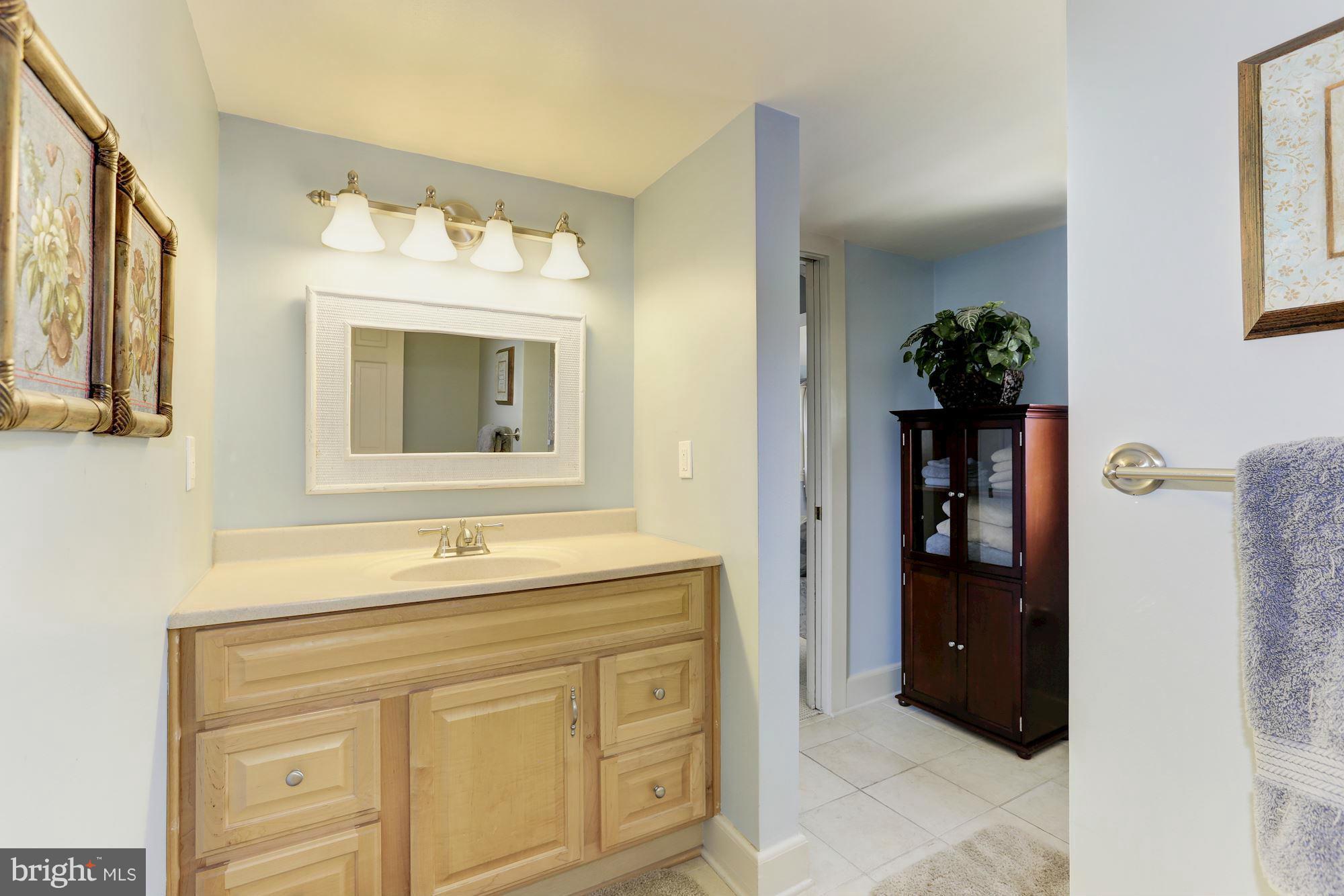 25154 St Michaels Road St. Michaels, MD 21663 - Photo 24 of 30 Bath (Master)