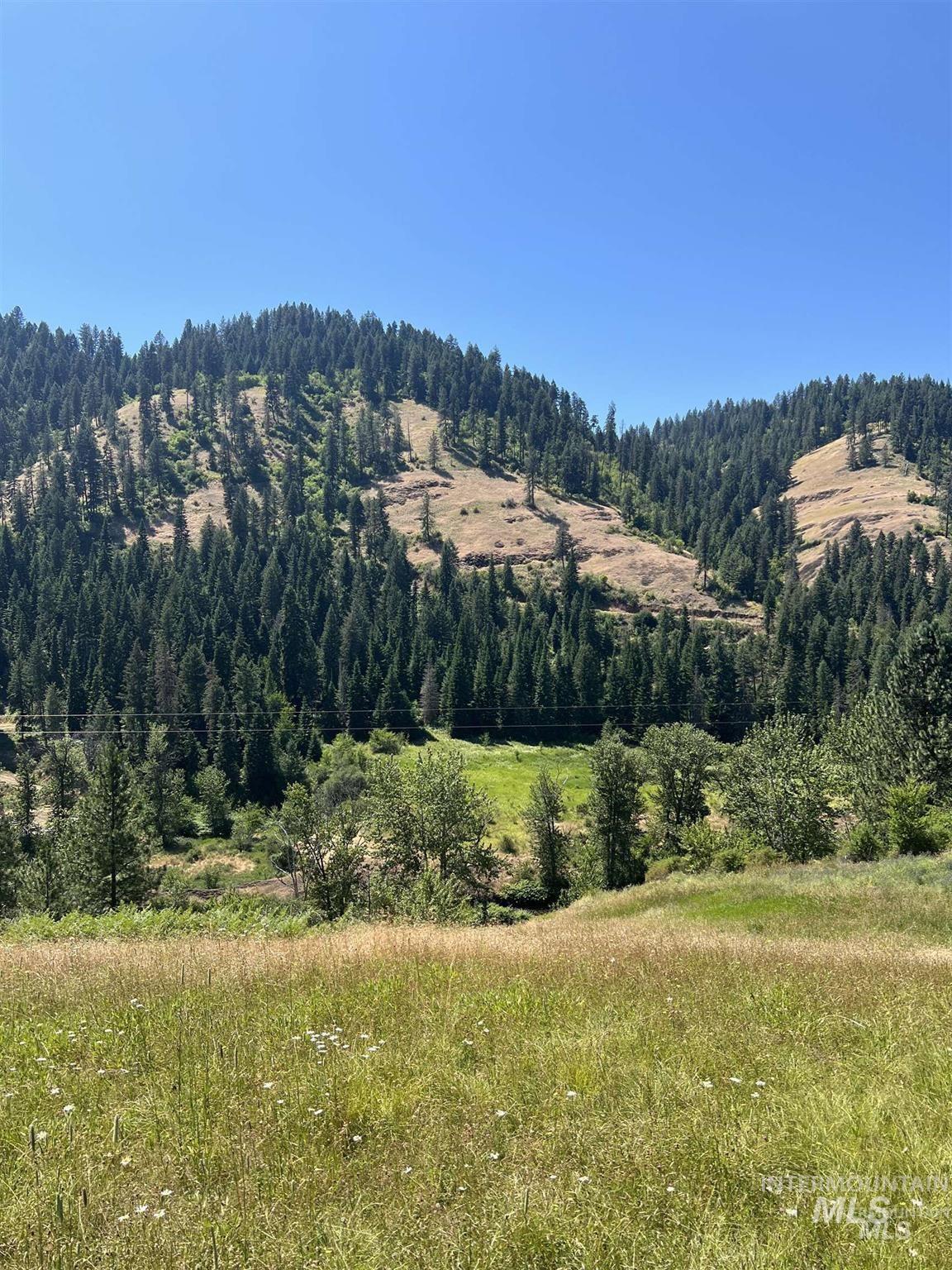 View of mountain backdrop with a forest and rural landscape