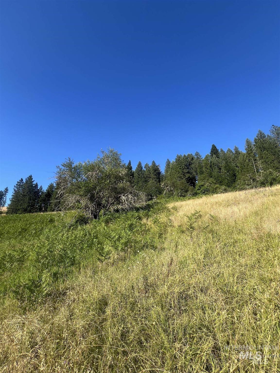 Nka Clearcreek Road Kooskia, ID 83539 - Photo 11 of 25 View of local wilderness featuring rural landscape