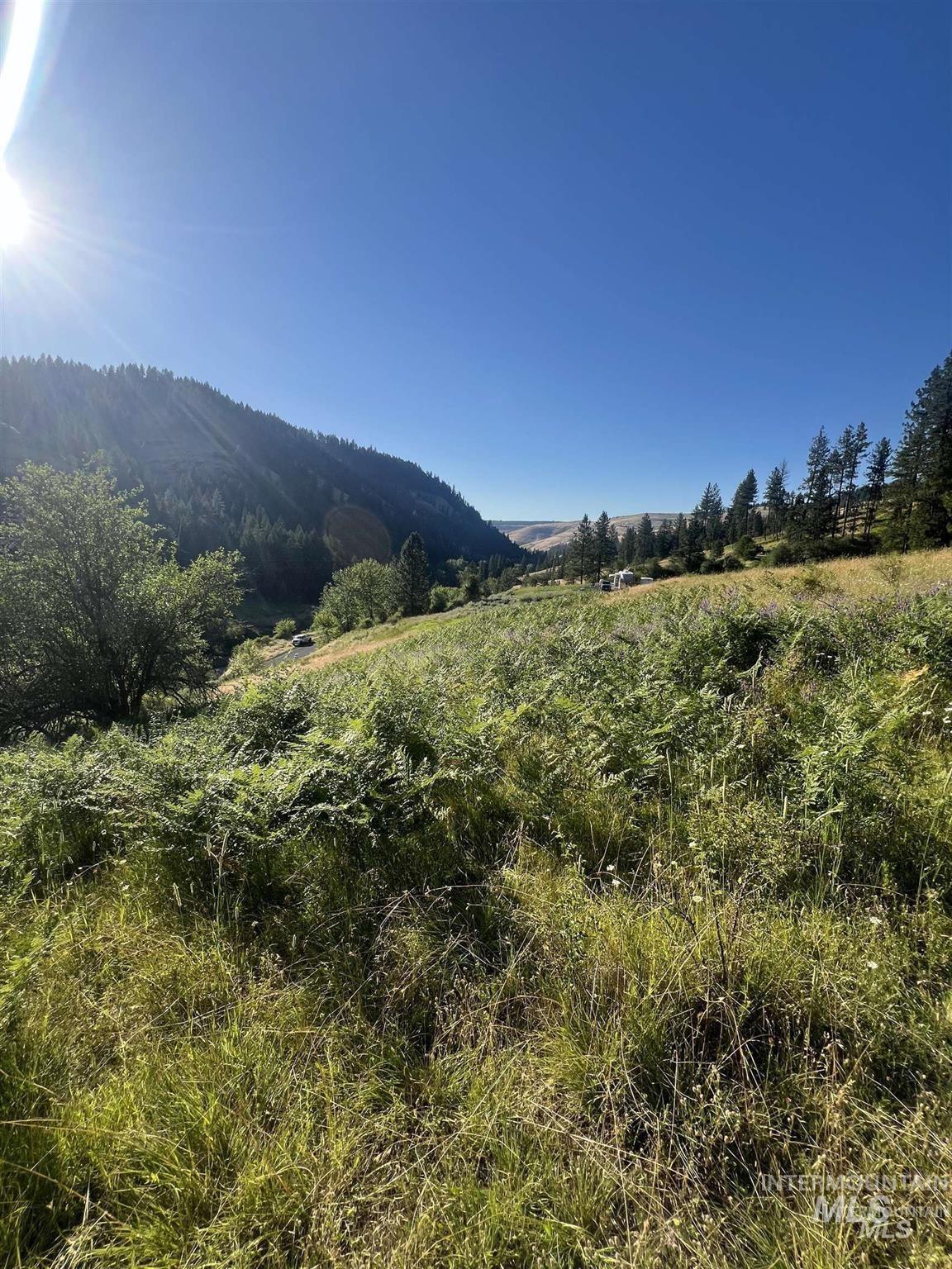 Nka Clearcreek Road Kooskia, ID 83539 - Photo 13 of 25 View of mountain background with rural landscape