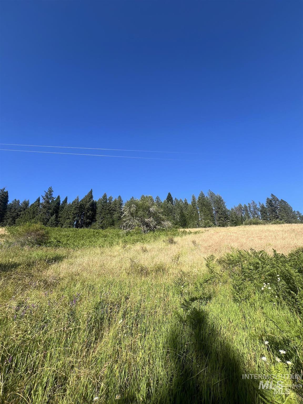 Nka Clearcreek Road Kooskia, ID 83539 - Photo 15 of 25 View of undeveloped land with rural landscape