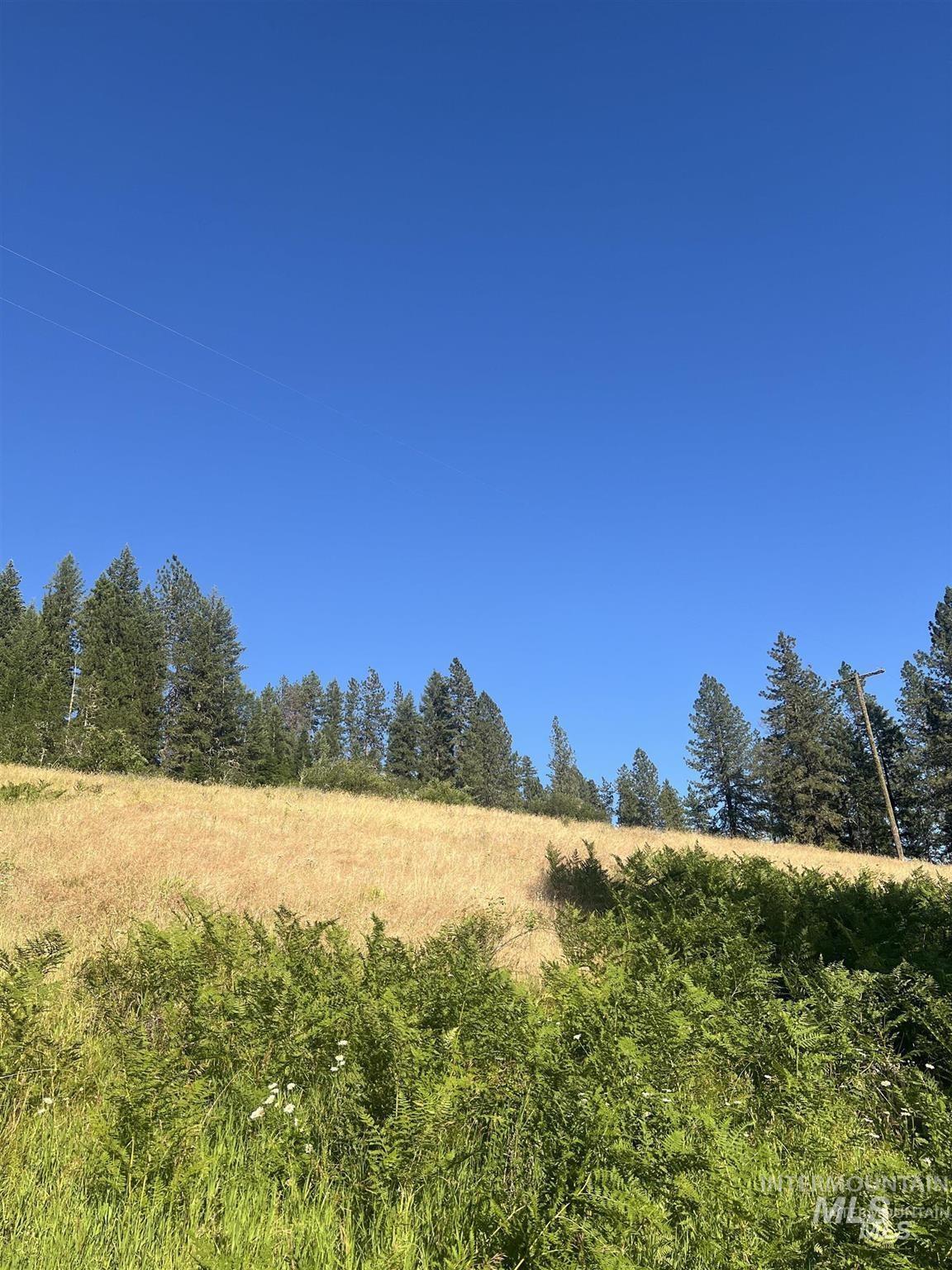 Nka Clearcreek Road Kooskia, ID 83539 - Photo 16 of 25 View of undeveloped land with rural landscape