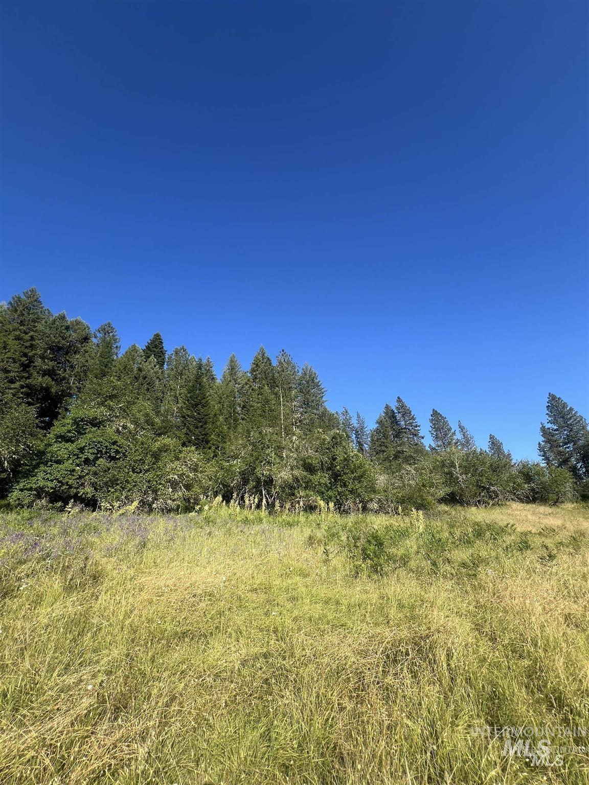 Nka Clearcreek Road Kooskia, ID 83539 - Photo 18 of 25 View of local wilderness