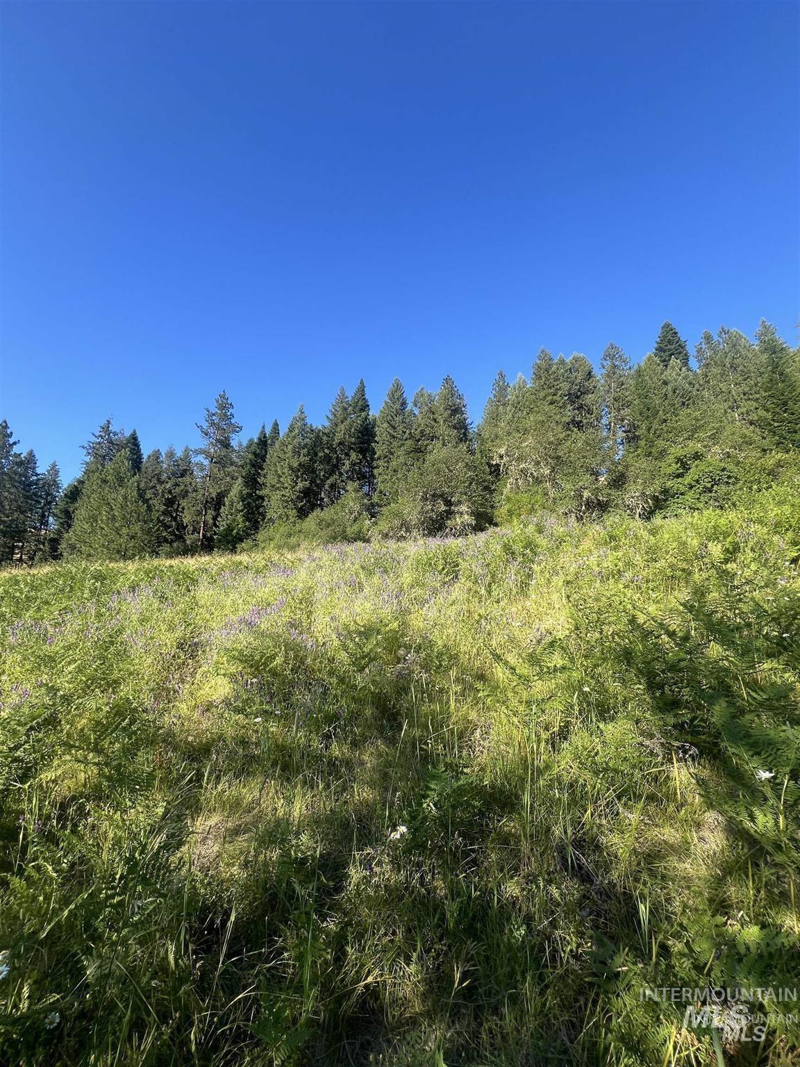 Nka Clearcreek Road Kooskia, ID 83539 - Photo 19 of 25 View of undeveloped land