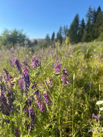 $220,000 | Nka Clearcreek Road, Kooskia, ID 83539