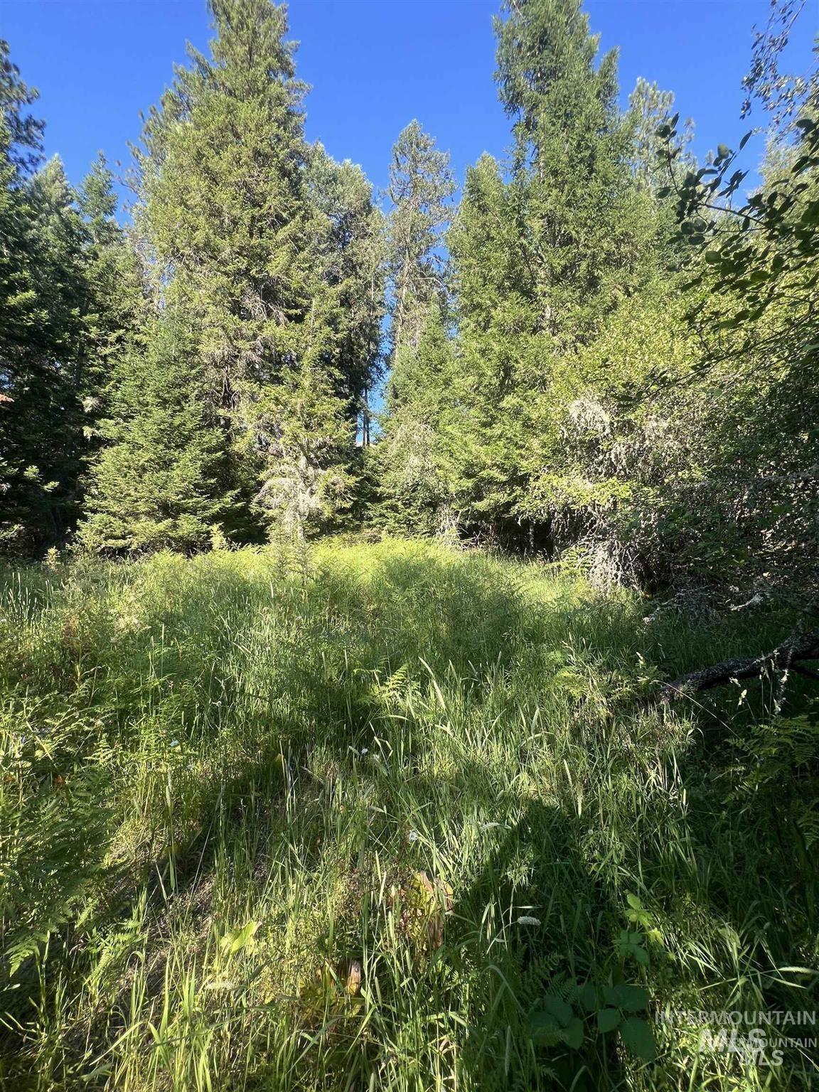 Nka Clearcreek Road Kooskia, ID 83539 - Photo 21 of 25 View of undeveloped land