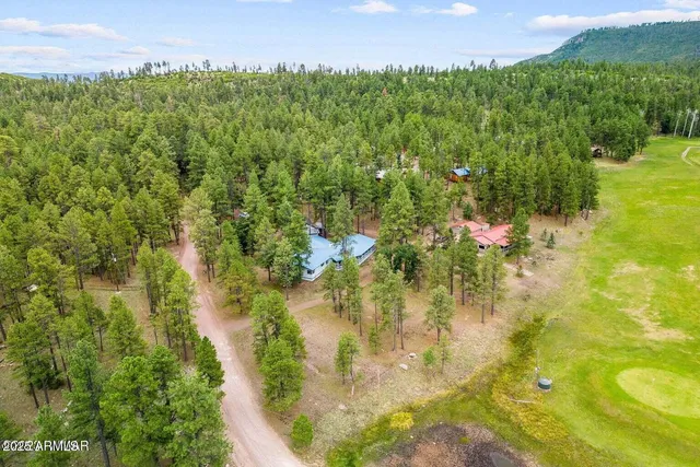 $599,500 | 52 County Road 2271, Alpine, AZ 85920