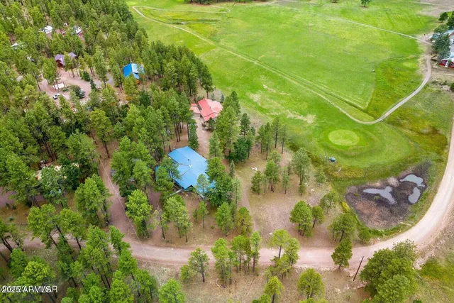 $599,500 | 52 County Road 2271, Alpine, AZ 85920