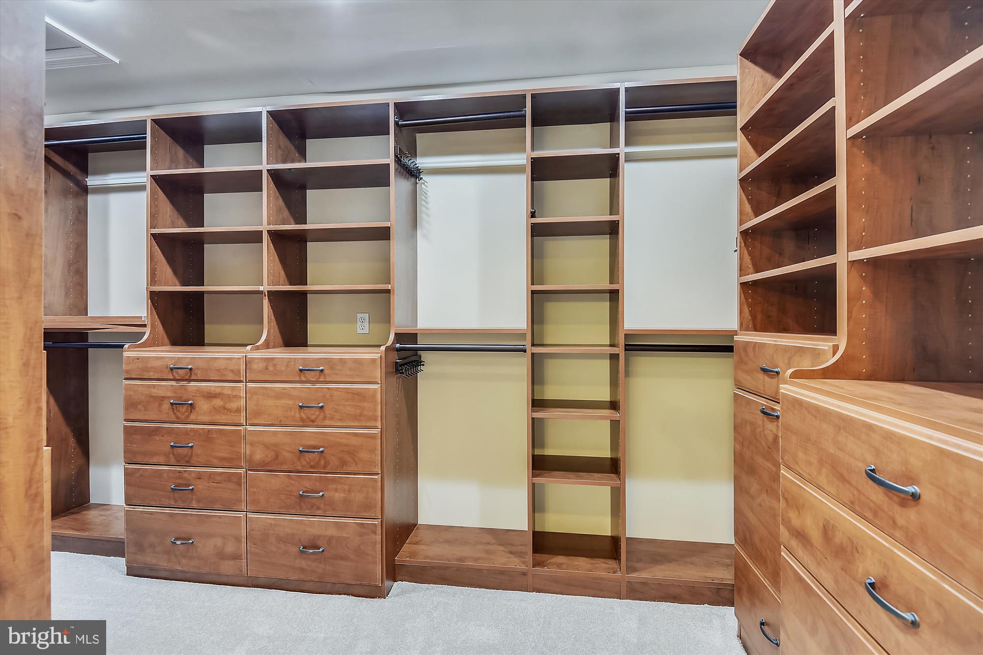 11874 Fawn Ridge Lane Reston, VA 20194 - Photo 47 of 75 a view of walk in closet with empty racks