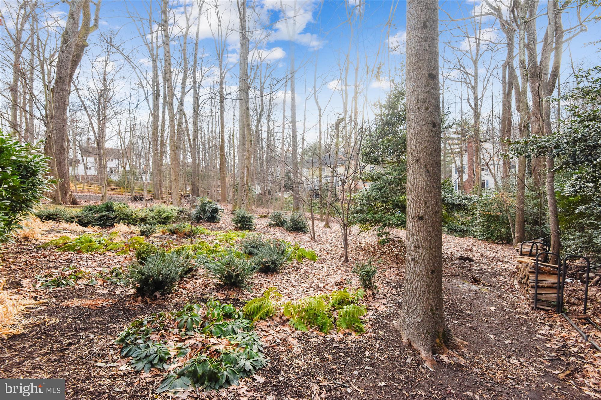 11874 Fawn Ridge Lane Reston, VA 20194 - Photo 71 of 75 a view of a yard with large trees