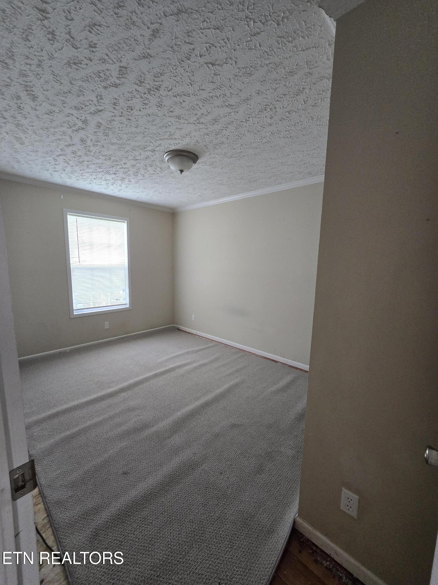 1338 Central Point Road Rutledge, TN 37861 - Photo 21 of 27 1000017793