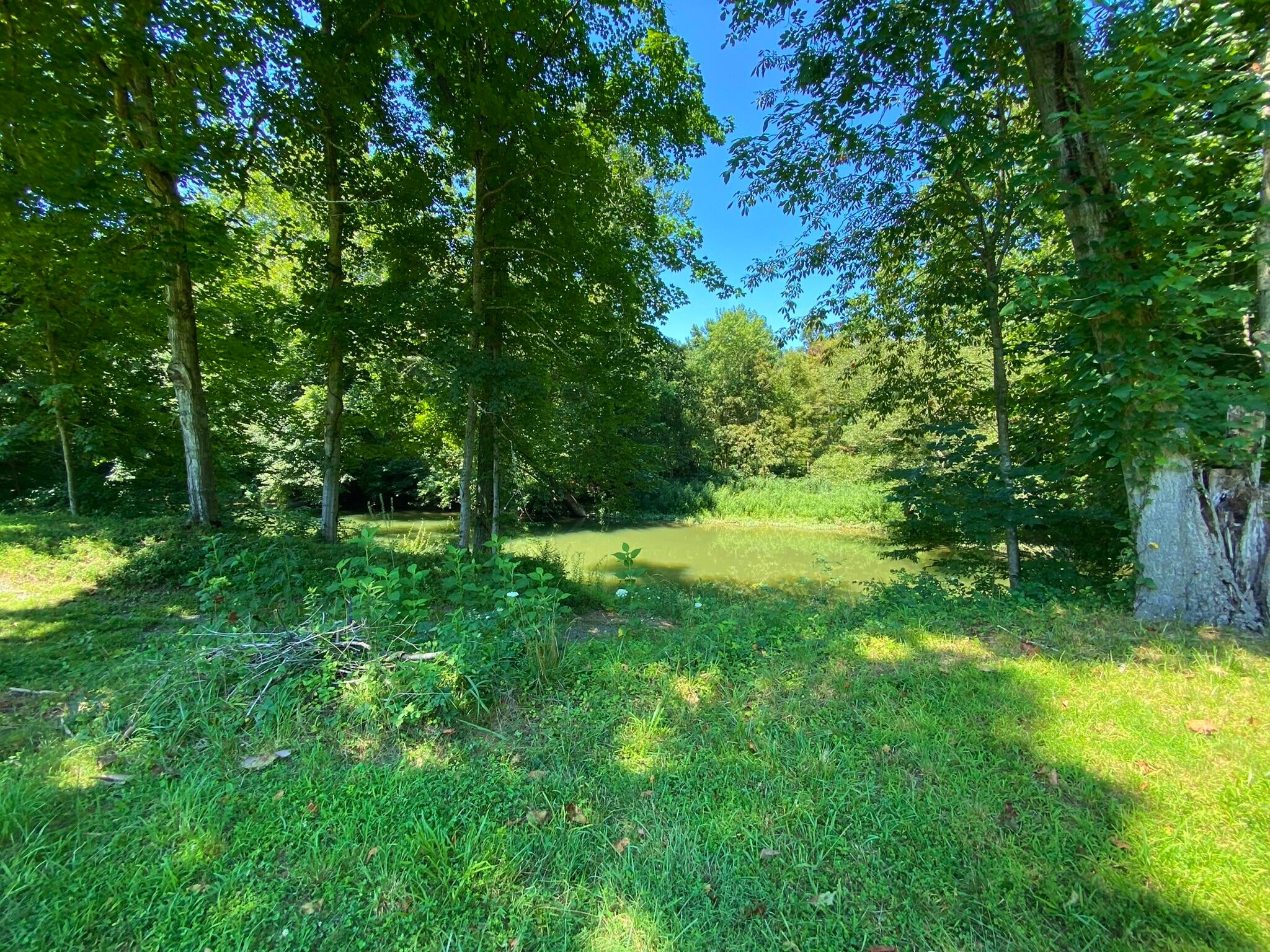 Lot 31 Fox Run Road Caldwell, WV 24925 - Photo 8 of 13 Gallery Image 8