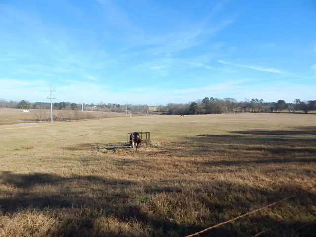 a view of outdoor space and city