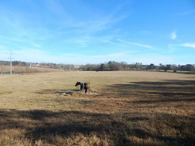 a view of an ocean view