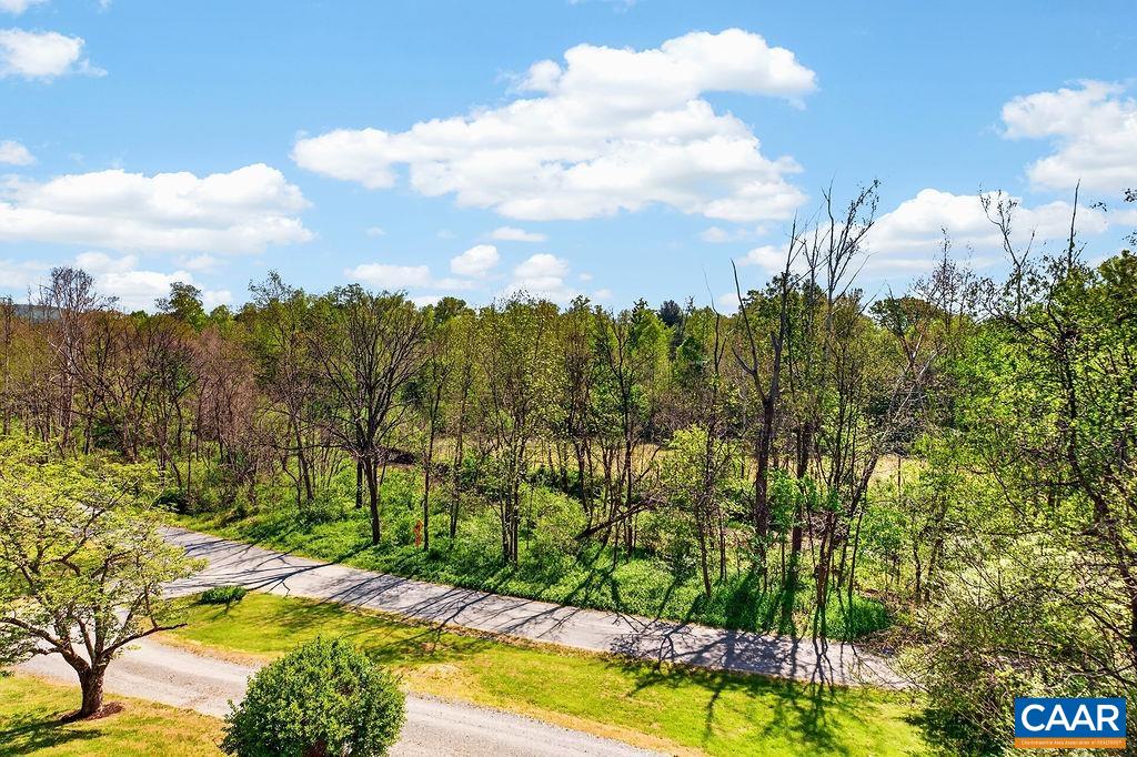 189 Old Roseland Road Roseland, VA 22967 - Photo 41 of 67