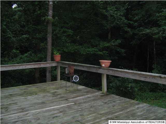 218 George Mann Road Potts Camp, MS 38659 - Photo 2 of 4 Additional Photo