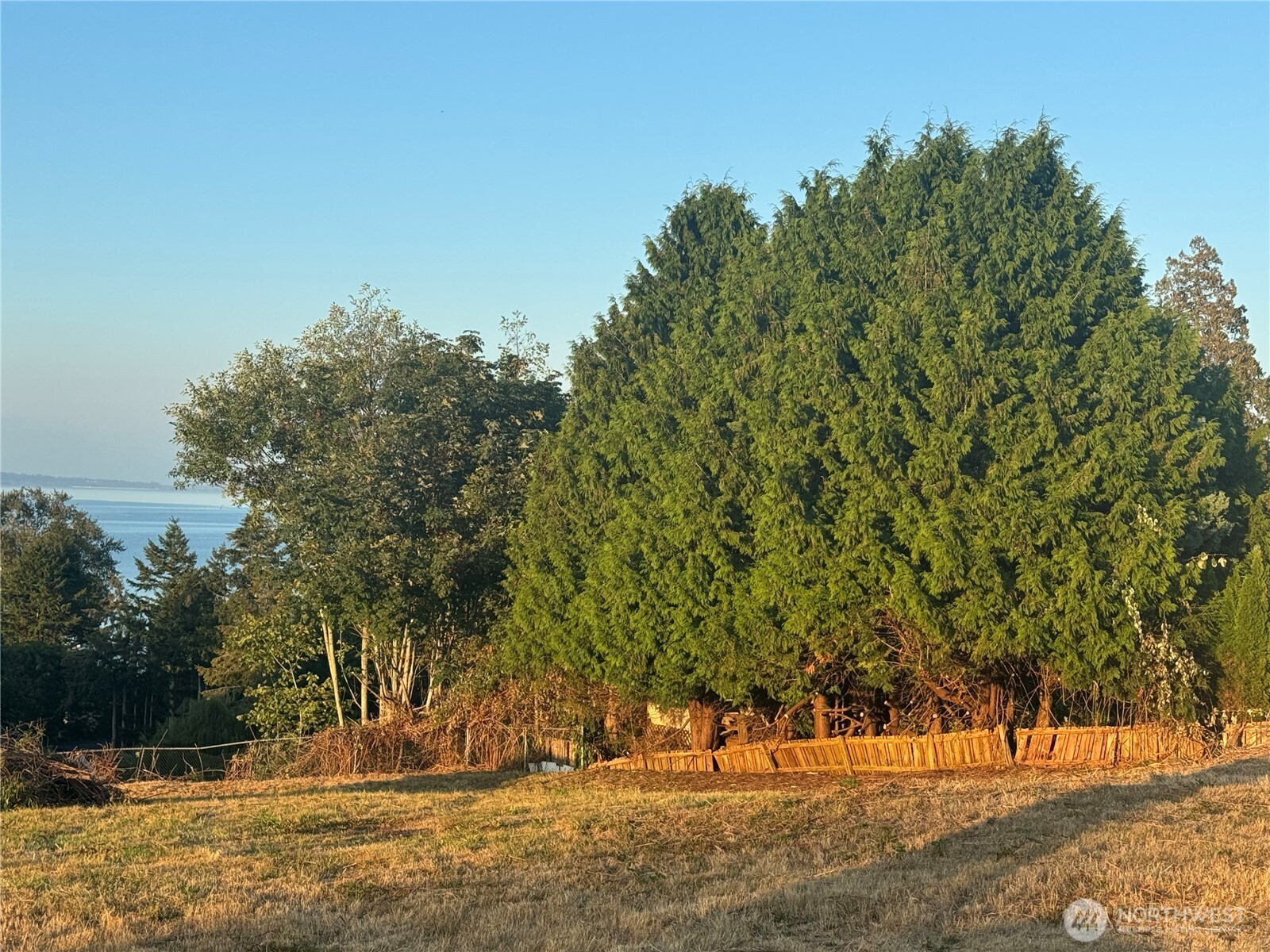 15 Whalen Drive Point Roberts, WA 98281 - Photo 3 of 23