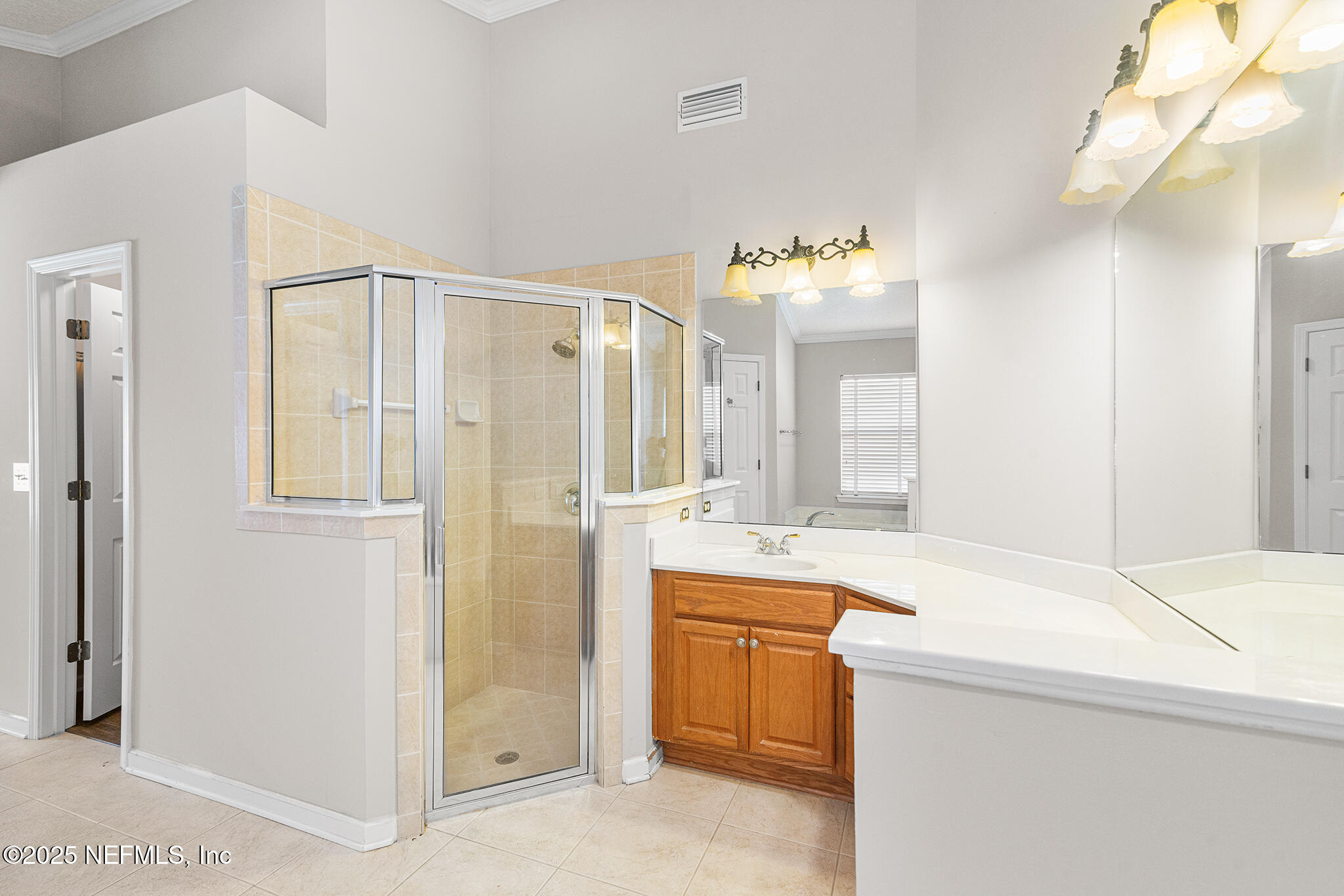 10922 Dunnotar Road Jacksonville, FL 32221 - Photo 25 of 35 a bathroom with a sink a bathtub and a shower