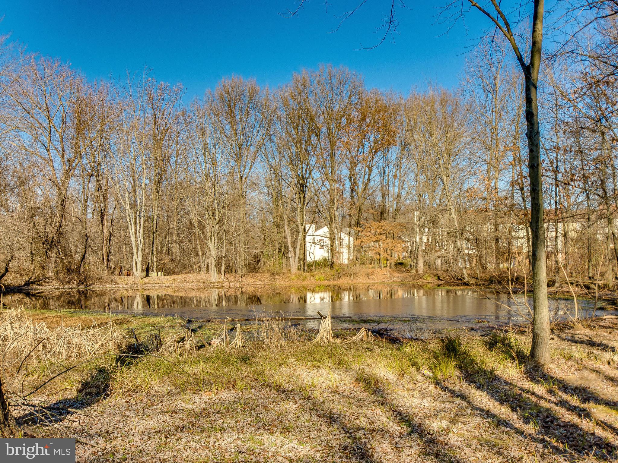 15607 Dorset Road, Unit 101 Laurel, MD 20707 - Photo 26 of 30 Bedroom (Master)