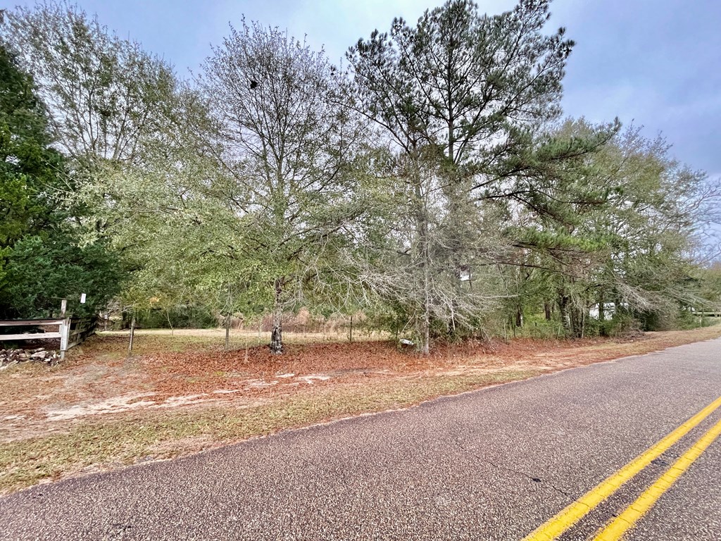 1429 Cecil Varnum Road Dothan, AL 36301 - Photo 34 of 35 Gallery Image 34