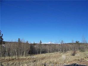 341 Highfill Road Jefferson, CO 80456 - Photo 4 of 5 Gallery Image 4