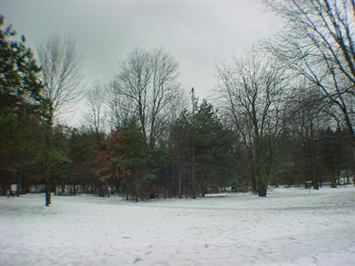 Primary Photo