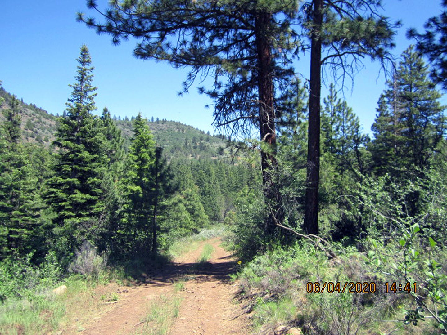 38 Twp Rnge 9 Sec 9 Sw4nw4 Road Klamath Falls, OR 97601 - Photo 3 of 19 Anderson-10