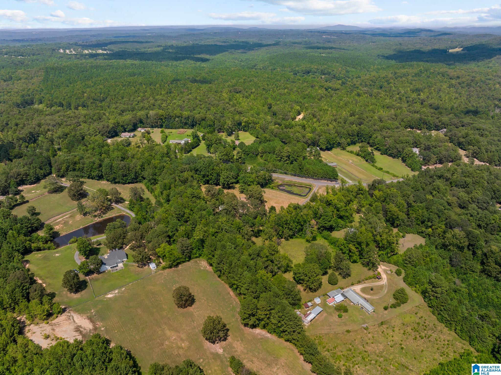 1695 Sanie Road Odenville, AL 35120 - Photo 46 of 63