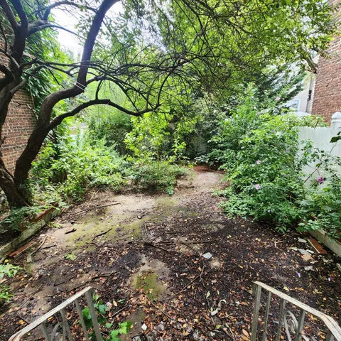 a view of a yard with plants and a bench