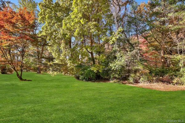 a view of yard with green space