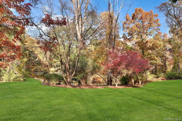a garden view