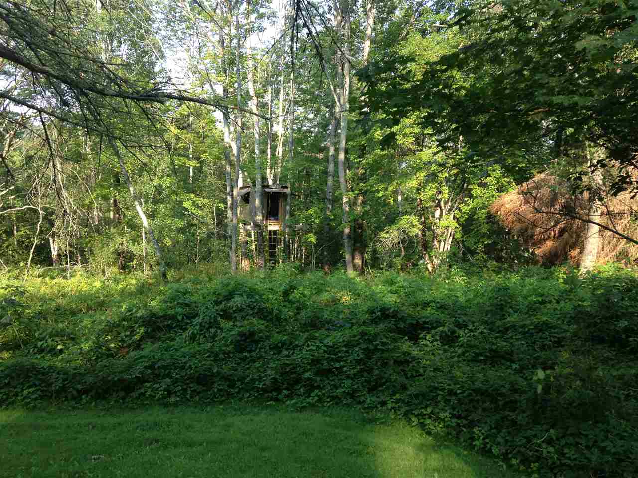 441 Maiden Lane Ripton, VT 05766 - Photo 32 of 34