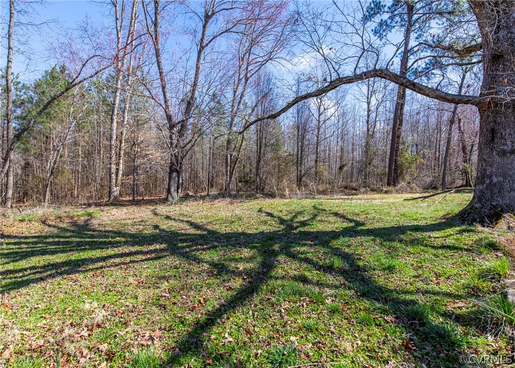 14306 Wilkinson Road Dewitt, VA 23840 - Photo 11 of 23 a view of yard with tree