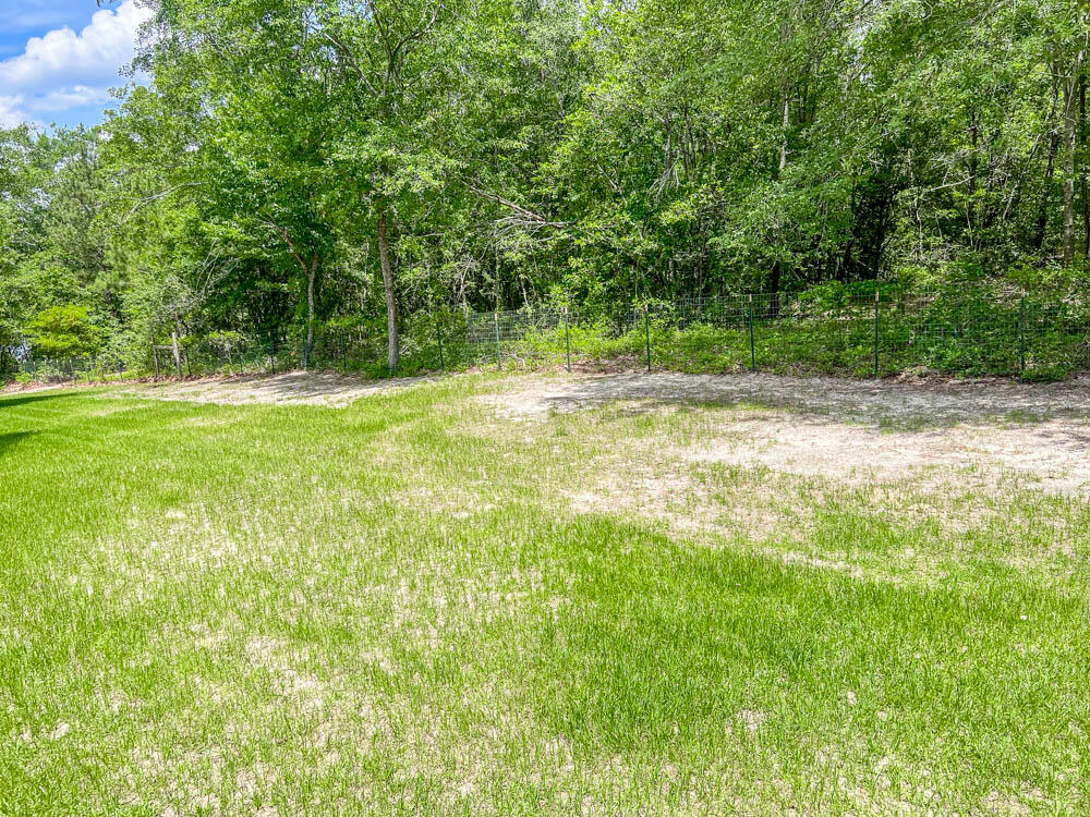 52 Boggy Branch Road Aiken, SC 29805 - Photo 20 of 24 Backyard!