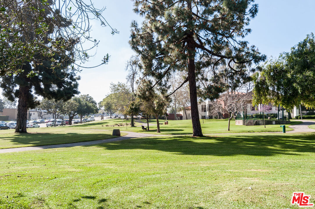 826 Main Street, Unit 6 El Segundo, CA 90245 - Photo 31 of 33 a view of a park with large trees