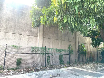 a view of a backyard with large trees and wooden fence