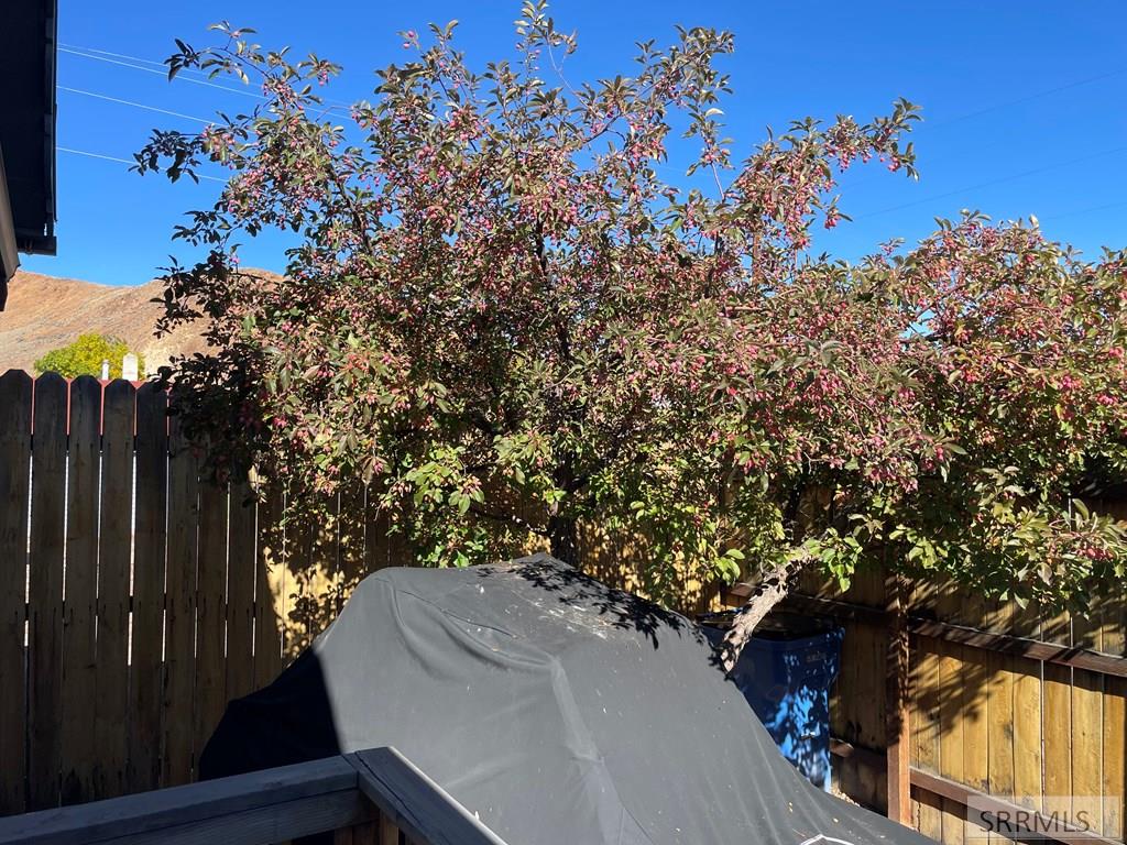 240 East Valley Road Challis, ID 83226 - Photo 28 of 31