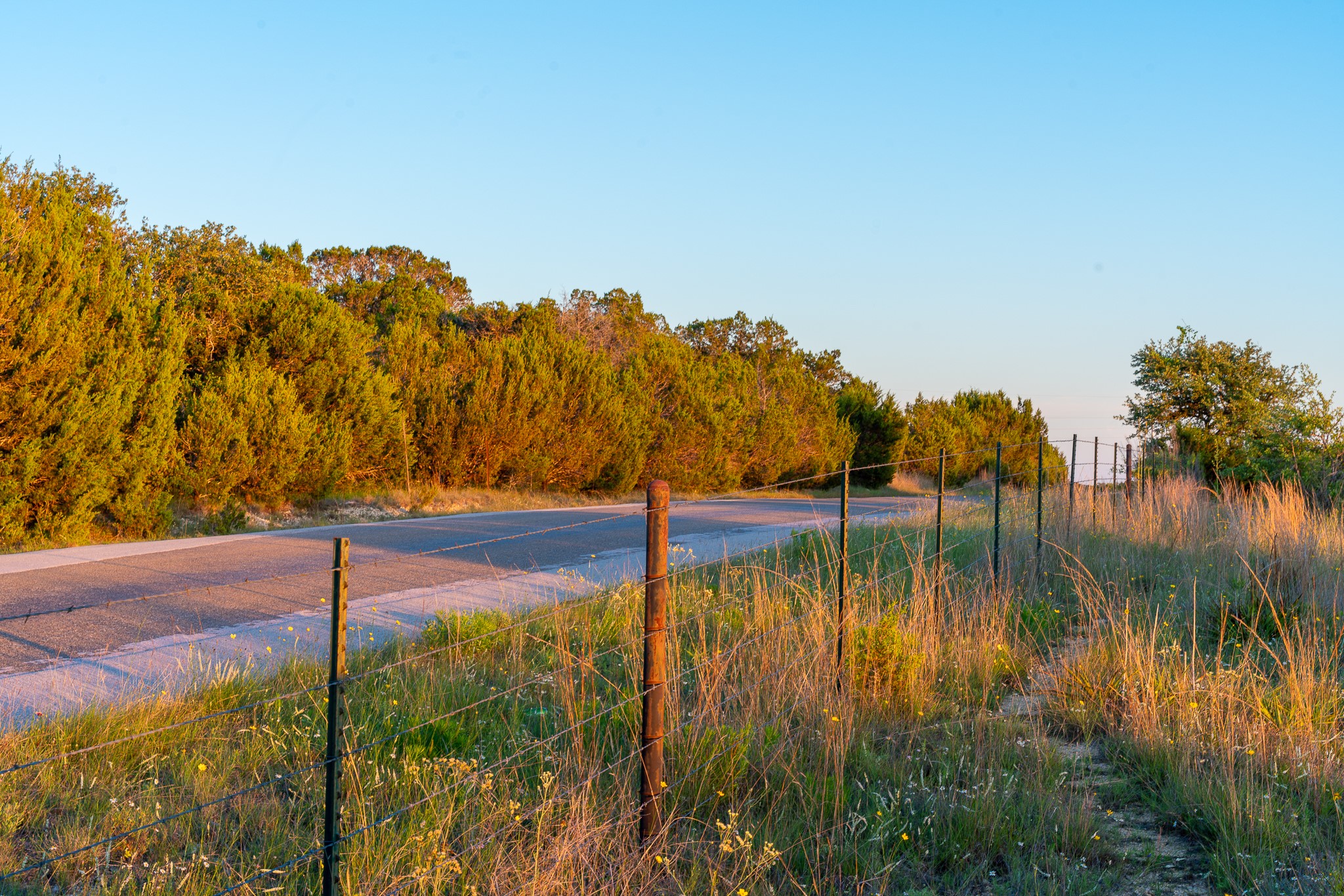 32 Feild Ranch Road Burnet, TX 78611 - Photo 37 of 40 A rural road winds through a landscape framed by mature trees and natural fencing.