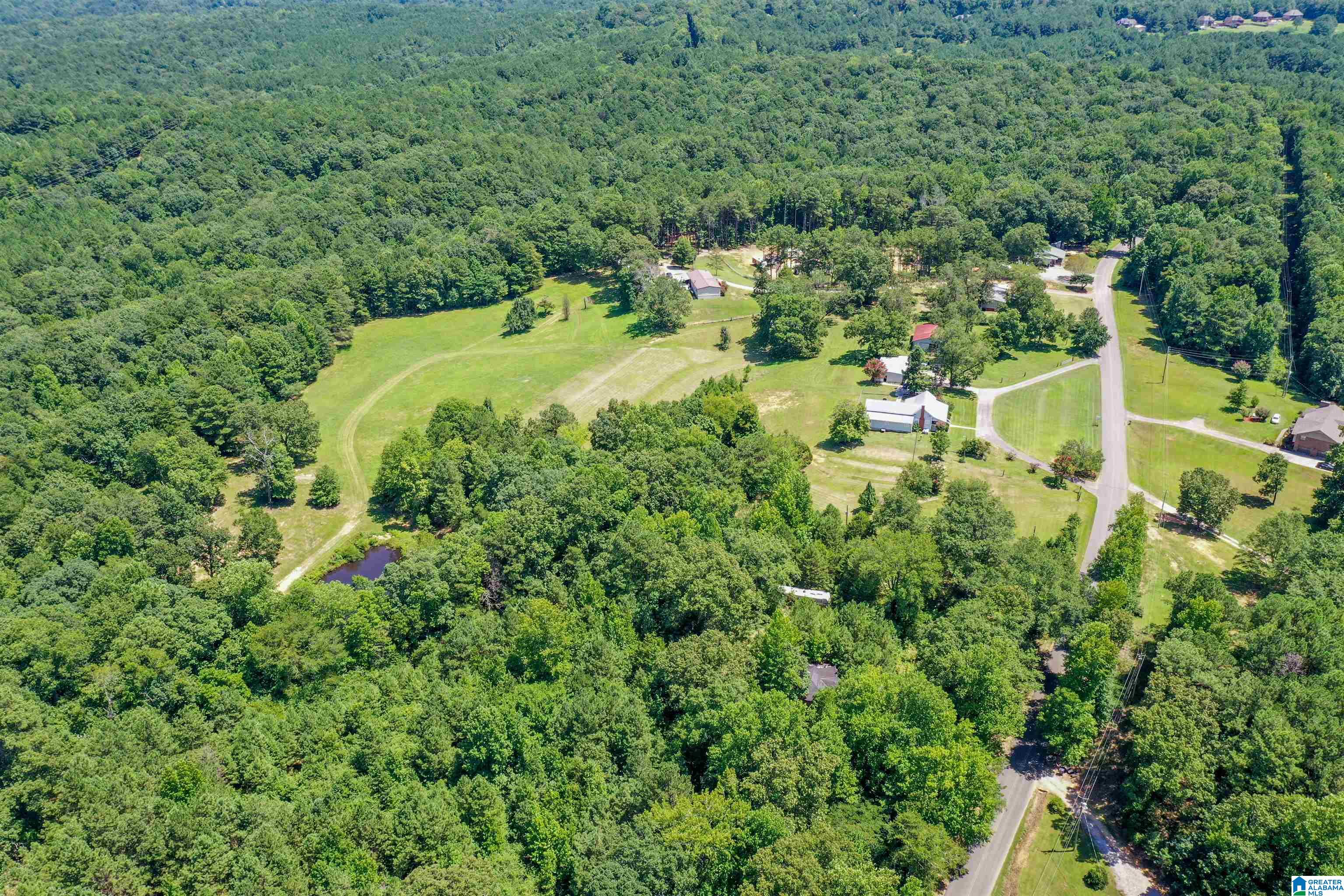 939 Buddy Vines Camp Road Bessemer, AL 35023 - Photo 64 of 79