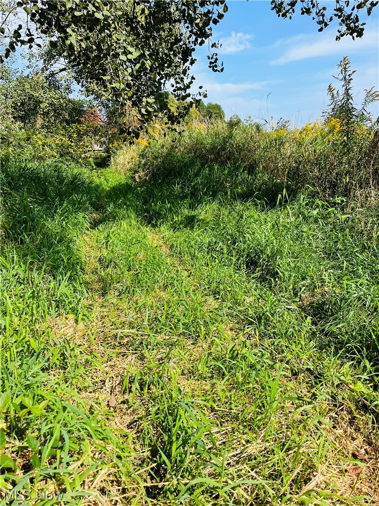 4253 Warner Road Ashtabula, OH 44004 - Photo 16 of 22 View of nature