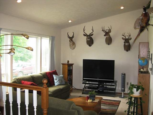 29515 North Dunn Road Chattaroy, WA 99003 - Photo 2 of 9 Gallery Image 2