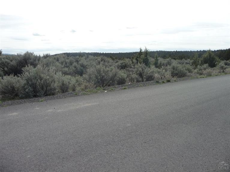 0 Southeast Riverdance Road Prineville, OR 97754 - Photo 3 of 4 Located on the corner of 2 paved roads