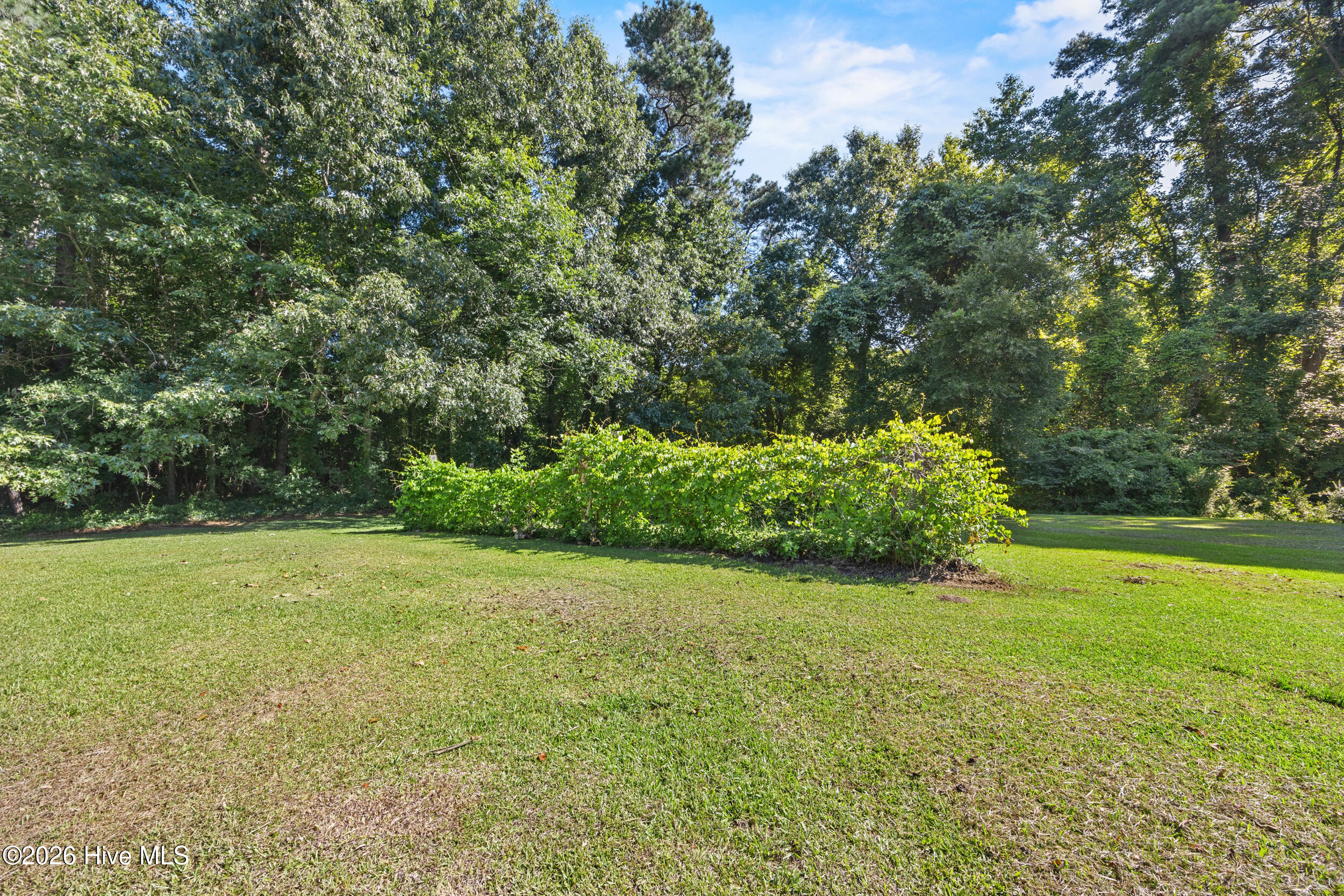 8821 Red Hill Road Clarkton, NC 28433 - Photo 59 of 76