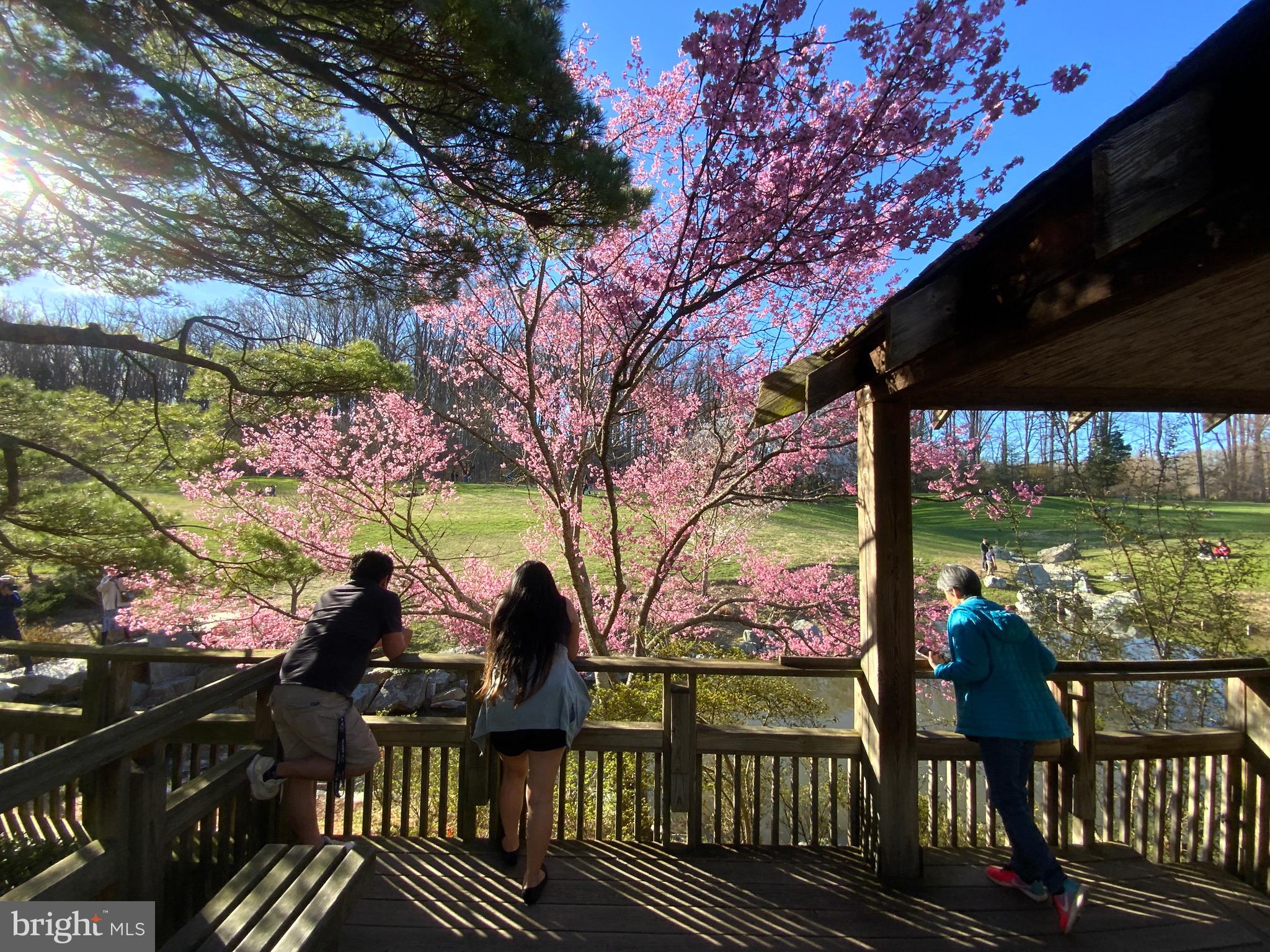 2302 Greenery Lane, Unit 30116 Silver Spring, MD 20906 - Photo 24 of 34 a view of a patio