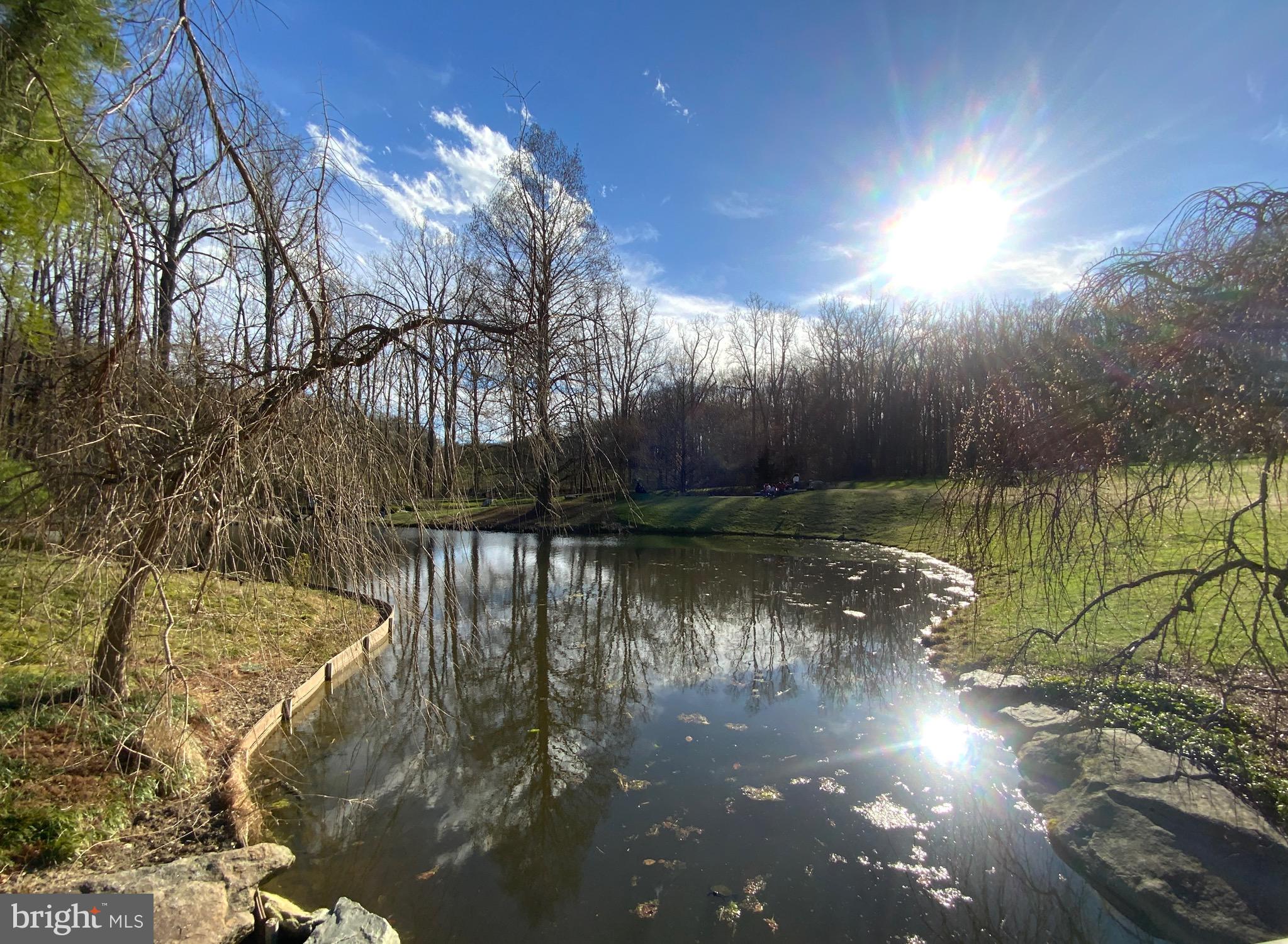 2302 Greenery Lane, Unit 30116 Silver Spring, MD 20906 - Photo 25 of 34 a view of lake