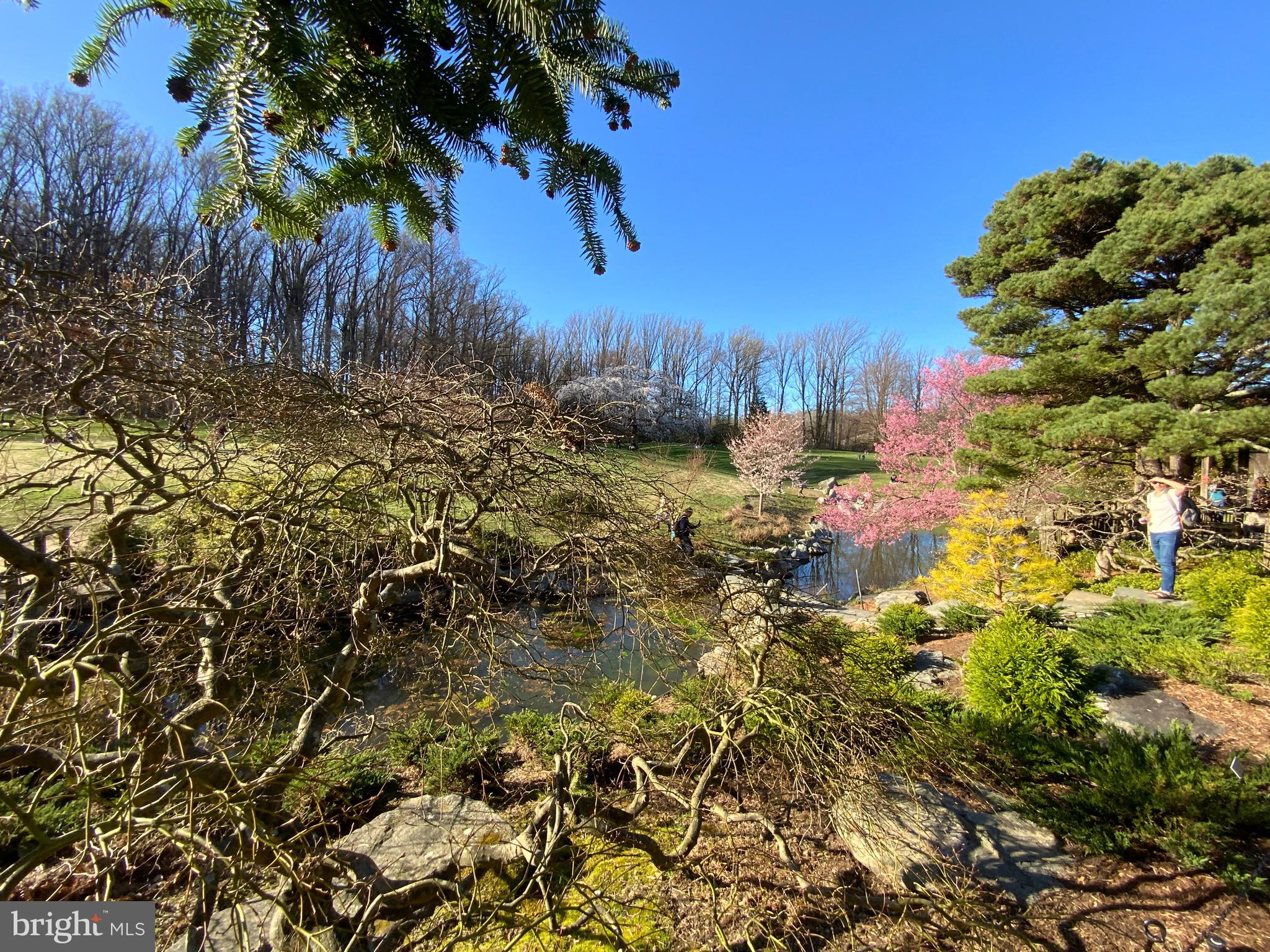 2302 Greenery Lane, Unit 30116 Silver Spring, MD 20906 - Photo 26 of 34 a picture of trees