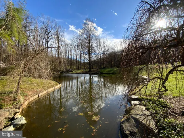 a view of a lake from a yard