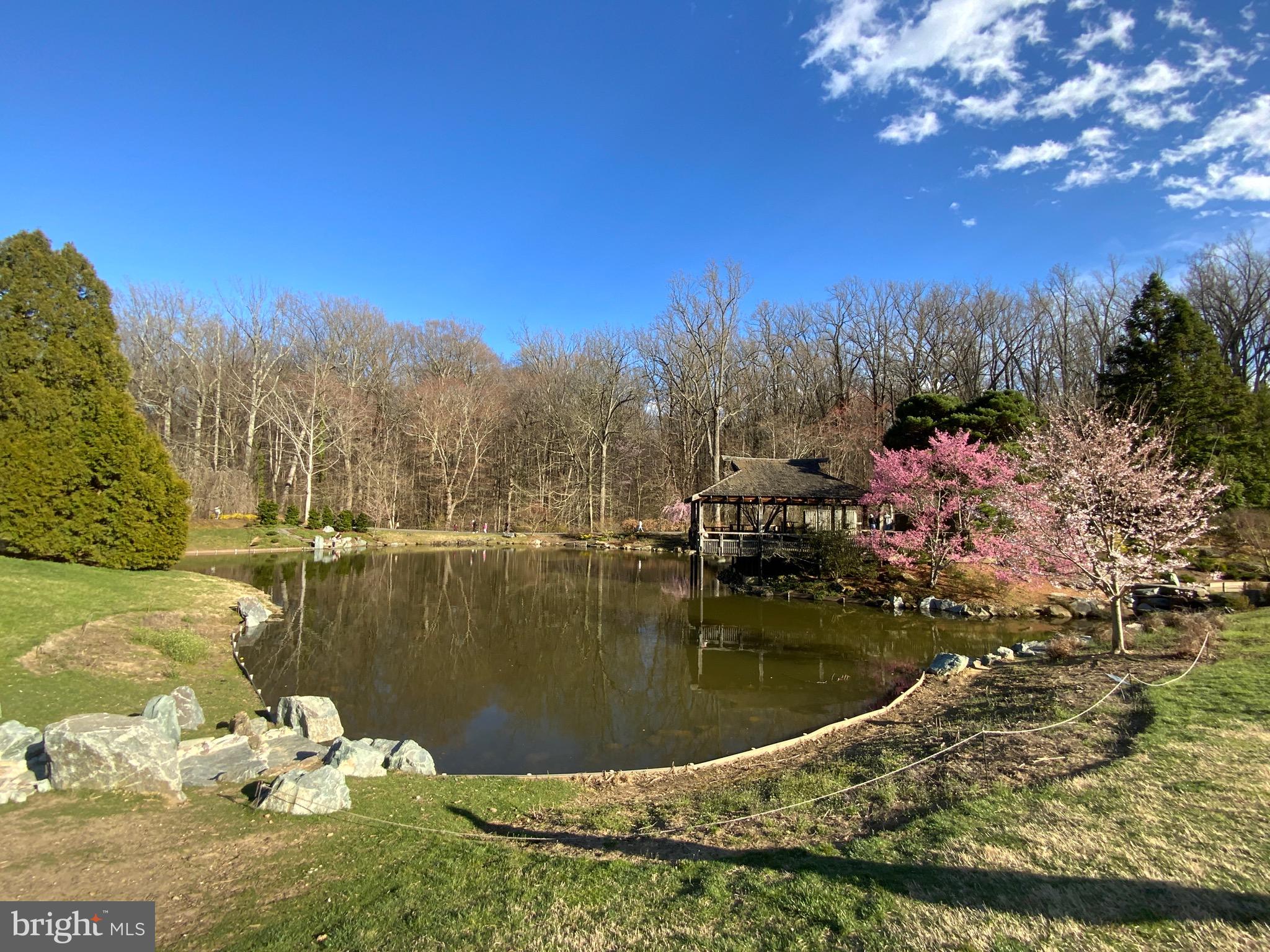 2302 Greenery Lane, Unit 30116 Silver Spring, MD 20906 - Photo 29 of 34 a view of a lake from a yard