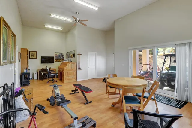 a view of a yard with plants and trees